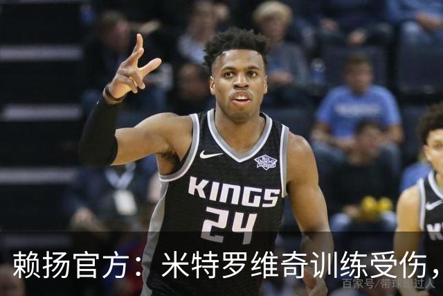 赖扬官方：米特罗维奇训练受伤，将缺席2到3个月